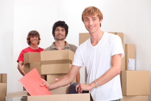Professional movers carrying household items in Edgware