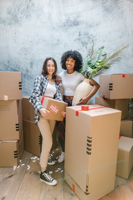 Two women standing inside a room surrounded by packed cardboard moving boxes, some sealed with red packing tape. One woman, with curly black hair, is holding a large decorative ceramic vase with a leafy green plant, while the other woman, with straight brown hair, is holding a smaller cardboard box. The women are smiling and appear to be preparing for a home relocation, with furniture and packing materials visible in the background against a textured grey wall. The scene reflects the packing and loading process typical of house removals near Edgware Station, with a focus on careful handling of household items, including fragile decor, during furniture transport and moving logistics, as managed by Edgware Removals.